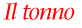 Tonno